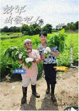 极限挑战 真人秀